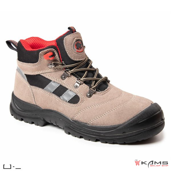 BBR1 - BEARFIELD TRZEWIK R01 S1 SRC, ZAMSZ - 36-48