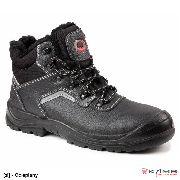 BBR3-ZI - BEARFIELD TRZEWIK OCIEPLANY R02 S3 SRC - 37-48