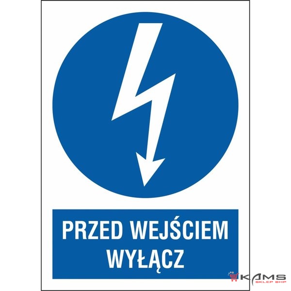 ZZ-6ENA - Znak elektryczny Przed wejściem wyłącz. - 74X105-148X210