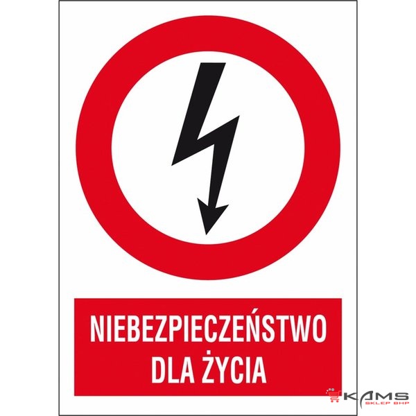 ZZ-1EZA - Znak elektryczny Niebezpieczeństwo dla życia. - 210x297-148X210